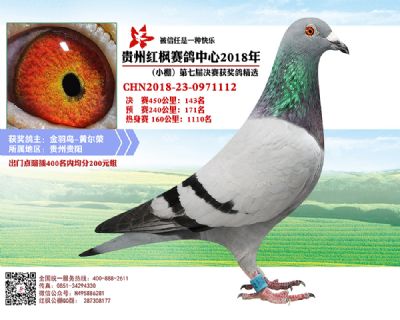 红枫小棚决赛143名