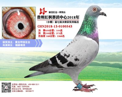 红枫小棚决赛144名