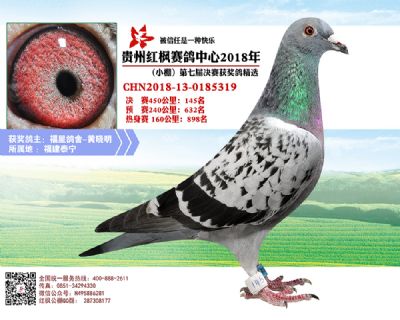 红枫小棚决赛145名