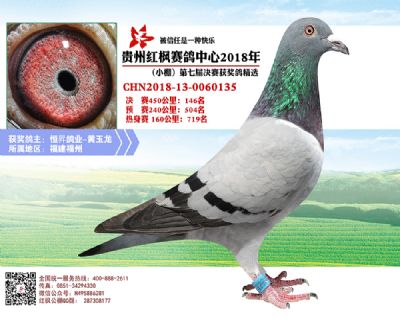 红枫小棚决赛146名