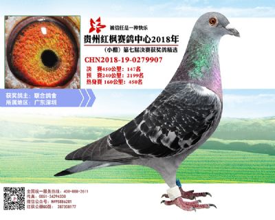 红枫小棚决赛147名