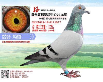 红枫小棚决赛149名