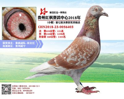 红枫小棚决赛152名