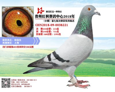 红枫小棚决赛153名