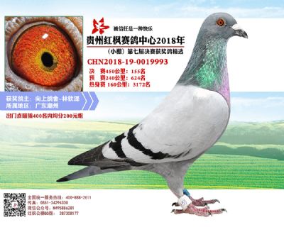 红枫小棚决赛155名