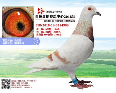 红枫小棚决赛156名