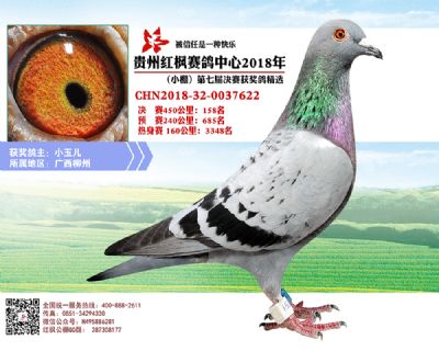 红枫小棚决赛158名