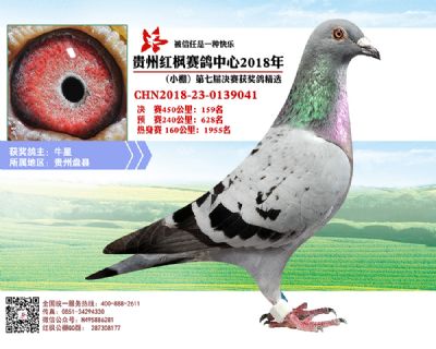 红枫小棚决赛159名