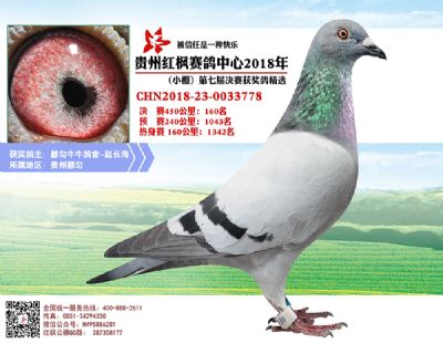 红枫小棚决赛160名