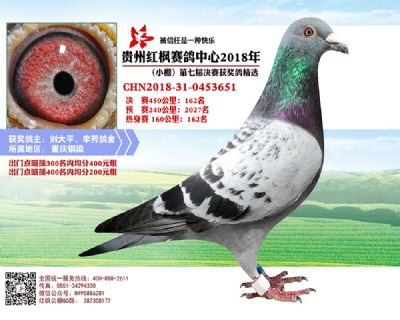 红枫小棚决赛162名