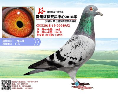 红枫小棚决赛166名