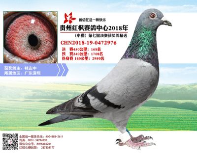红枫小棚决赛168名