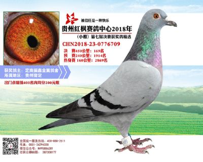 红枫小棚决赛169名