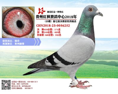 红枫小棚决赛171名