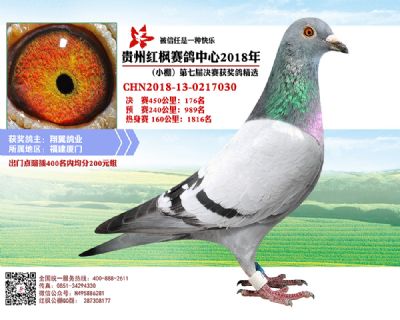 红枫小棚决赛176名