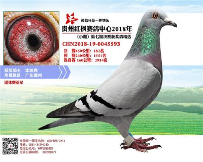 红枫小棚决赛182名