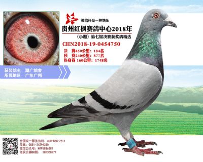 红枫小棚决赛184名