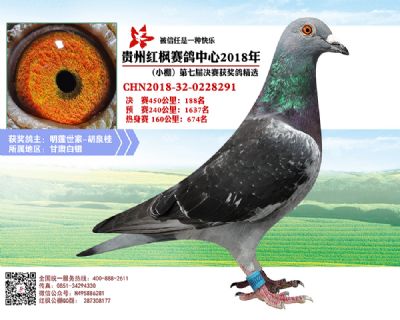 红枫小棚决赛188名