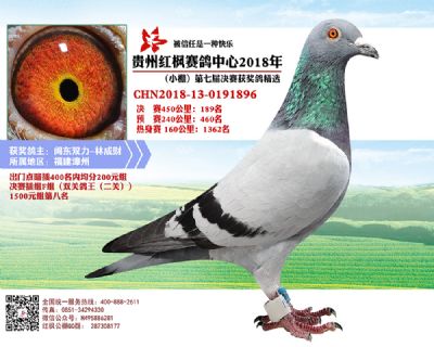 红枫小棚决赛189名