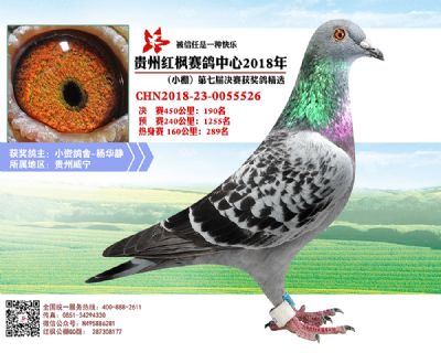 红枫小棚决赛190名
