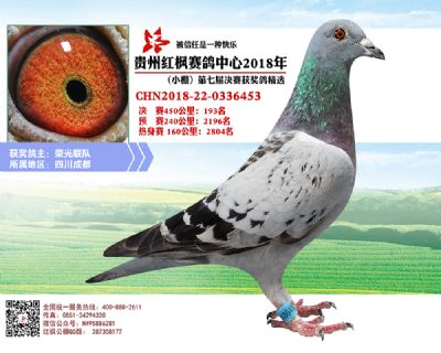 红枫小棚决赛193名