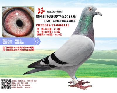 红枫小棚决赛195名