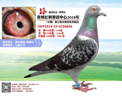 红枫小棚决赛198名