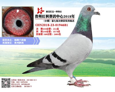 红枫小棚决赛202名
