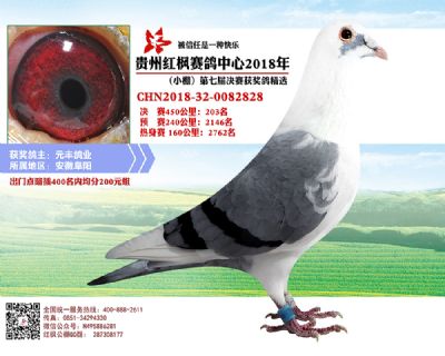 红枫小棚决赛203名