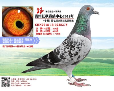 红枫小棚决赛209名