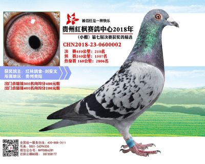 红枫小棚决赛210名