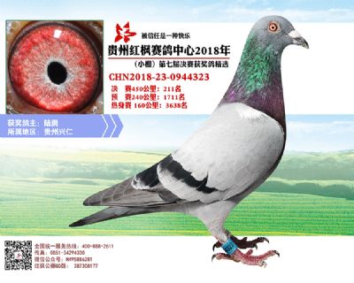 红枫小棚决赛211名