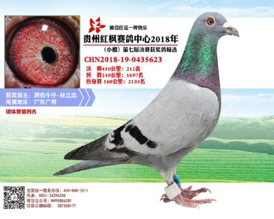 红枫小棚决赛212名