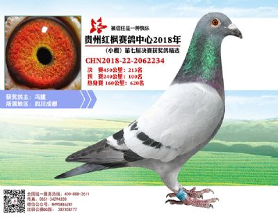 红枫小棚决赛213名