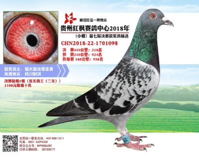 红枫小棚决赛218名