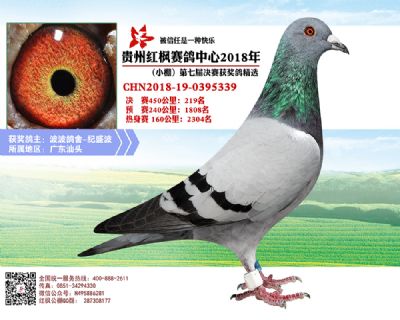 红枫小棚决赛219名