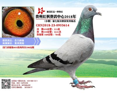 红枫小棚决赛222名