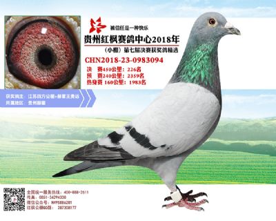 红枫小棚决赛226名