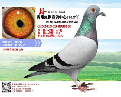 红枫小棚决赛227名