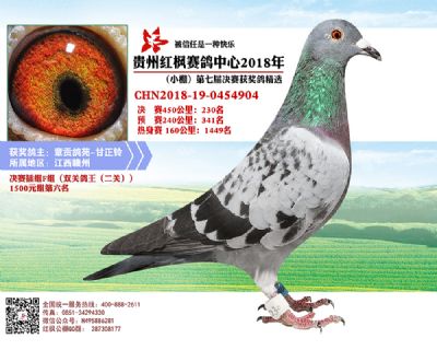 红枫小棚决赛230名