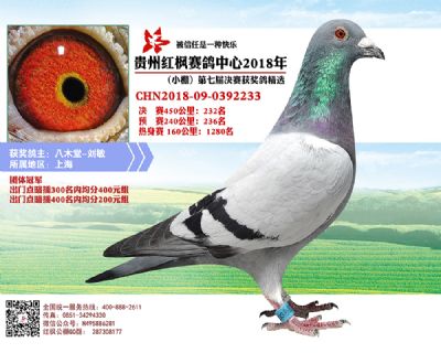 红枫小棚决赛232名