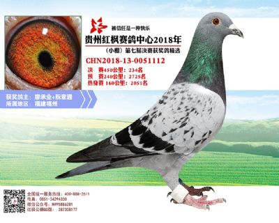 红枫小棚决赛234名