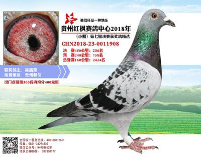 红枫小棚决赛236名