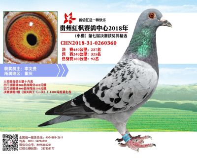 红枫小棚决赛237名