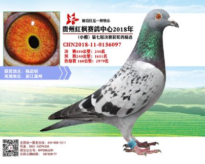 红枫小棚决赛240名