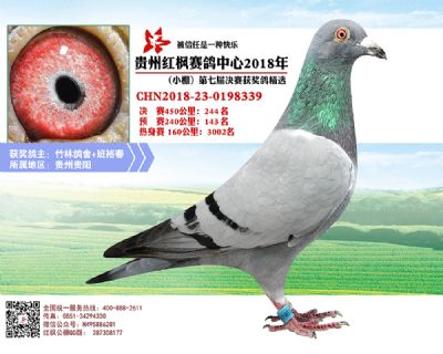 红枫小棚决赛244名