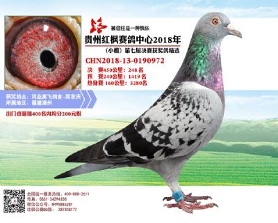 红枫小棚决赛248名