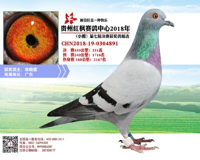 红枫小棚决赛251名