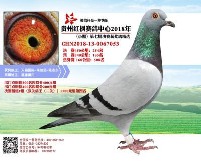 红枫小棚决赛254名