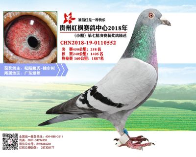 红枫小棚决赛258名